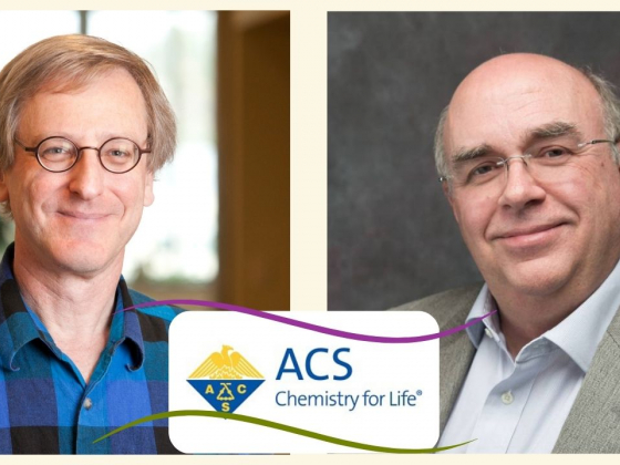 Warren and Beratan Recognized by the American Chemical Society National Awards