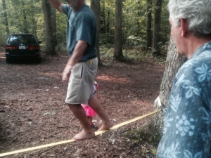 Plesser's Balancing Act