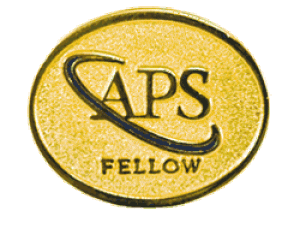 Profs. Springer and Walter Named 2017 APS Fellows