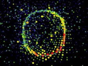 T2K Experiment Highlighted in PRL