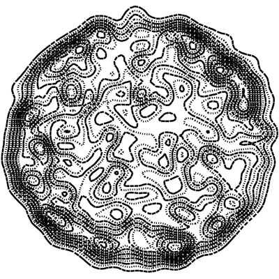 Tsai's Figure Chosen as Kaleidoscope Figure